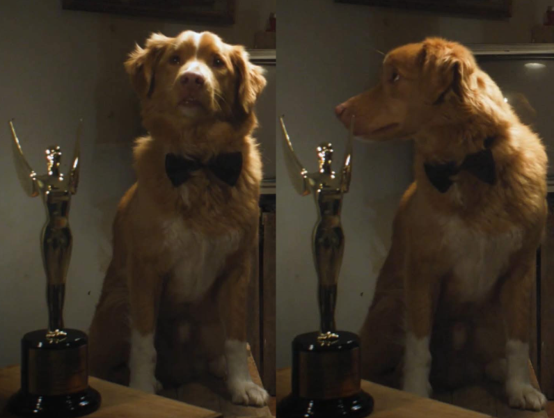 INDY HACE HISTORIA Y GANA EL PREMIO DE ACTUACIÓN